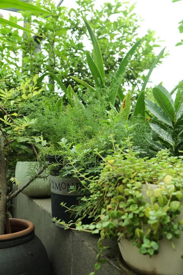 Auntie Lien'S Homestay Hanoi Exterior foto